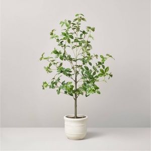 Hearth & Hand Magnolia 33" Faux Gypsophila Leaf Plant
